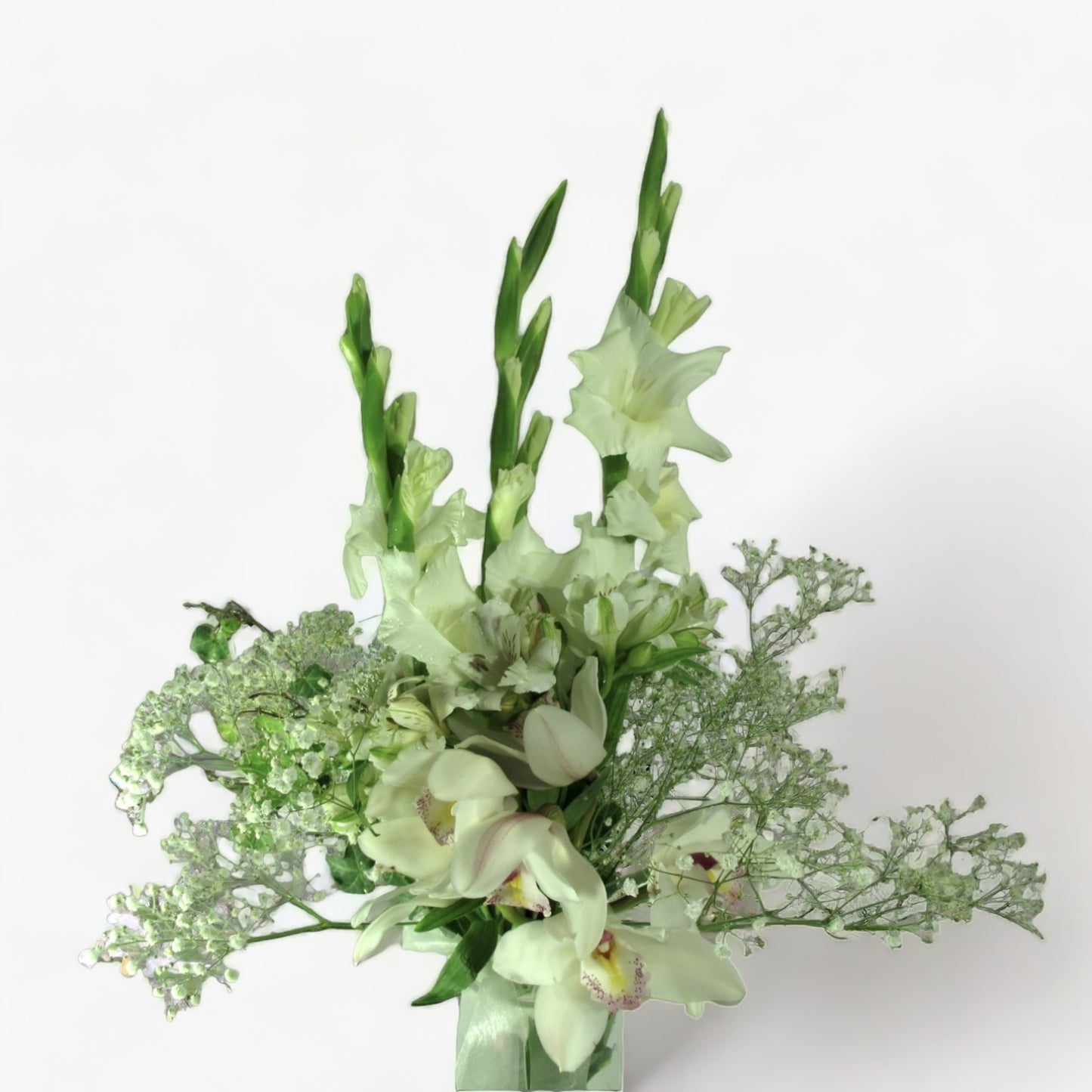 Wondrous White