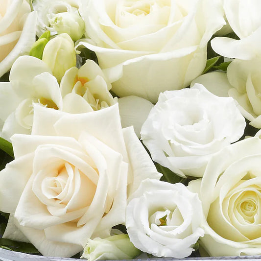 [TEST] Blossom Your Life: Exploring the Beauty of Flowers