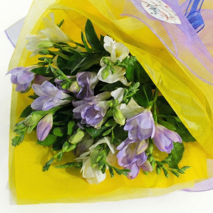 Lovely Freesia