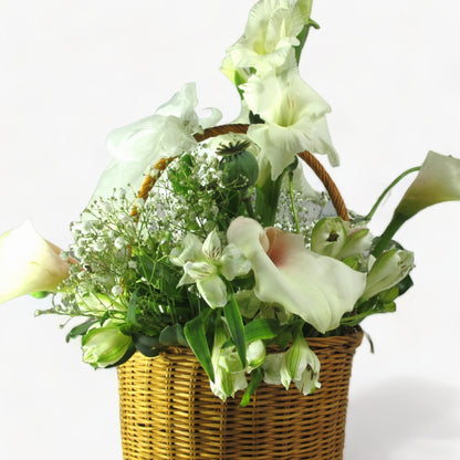 White Basket